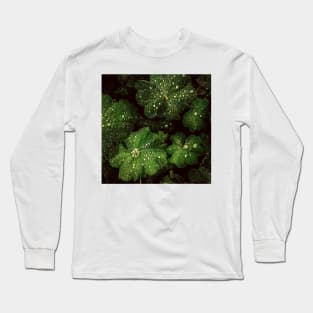 Plants Make Me Feel Alive Long Sleeve T-Shirt